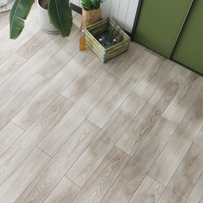 MARCO POLO PREMIUMFlorida