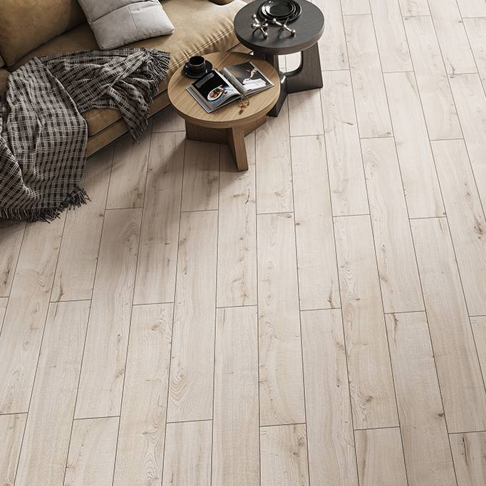 YOGA COLLECTION PREMIUMNidra