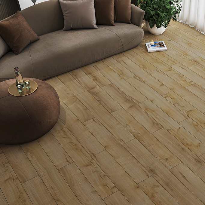 YOGA COLLECTION PREMIUMYin