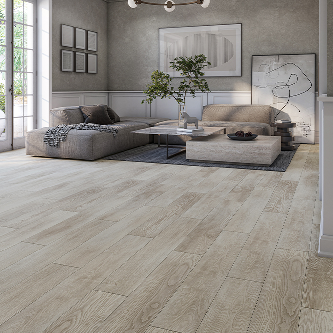 MARCO POLO PREMIUMNovaya