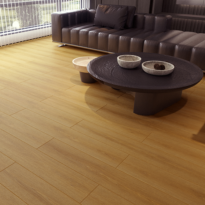 PERA COLLECTIONMimoza