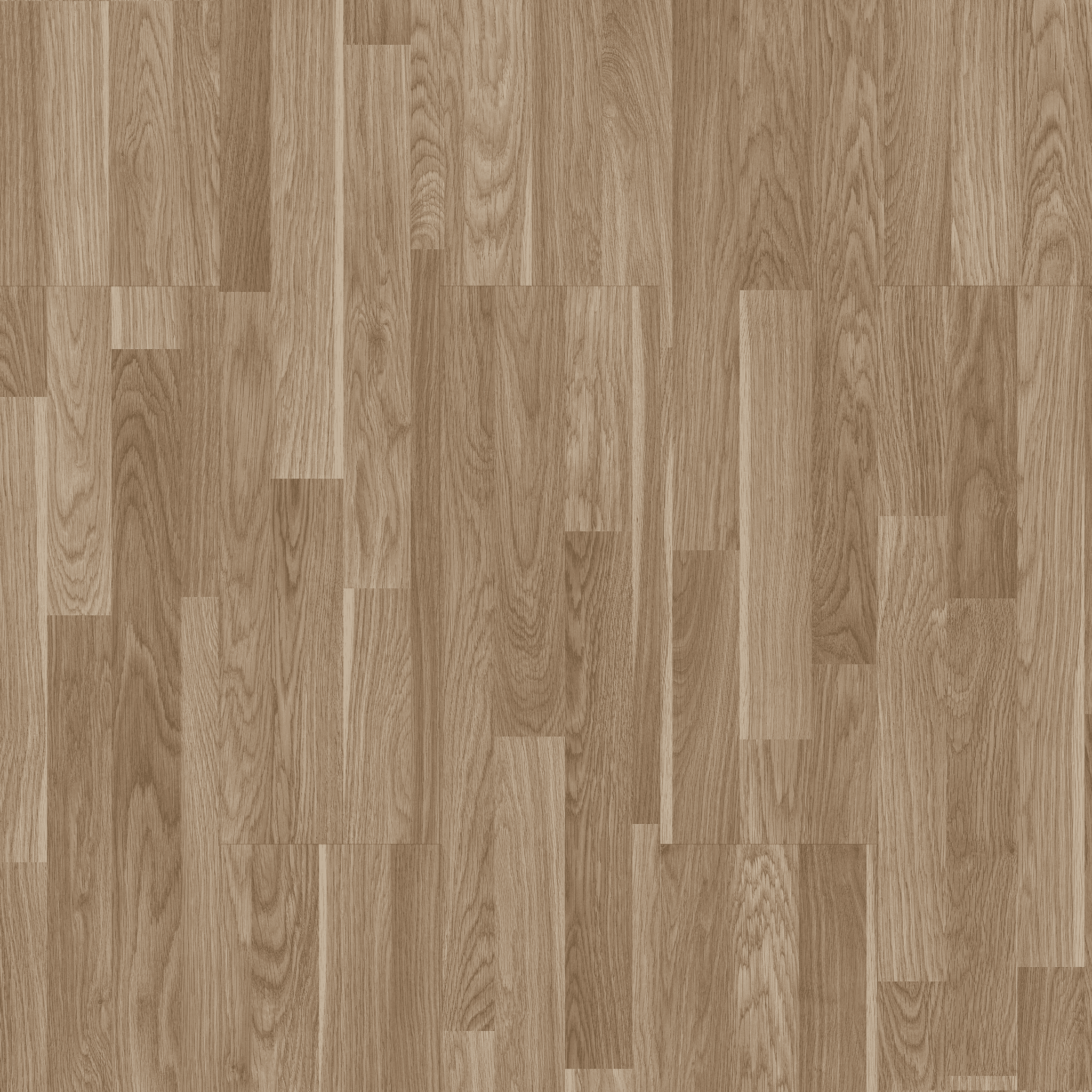 Gümüş Meşe Ortam