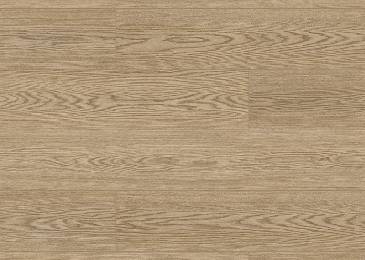 GÜMÜŞ MEŞE VP_366